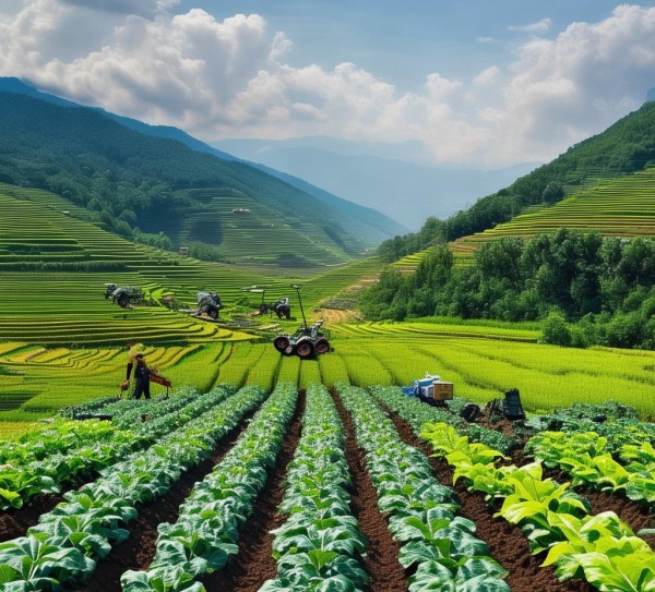 助力可持续农业，探索农业技术的新引擎