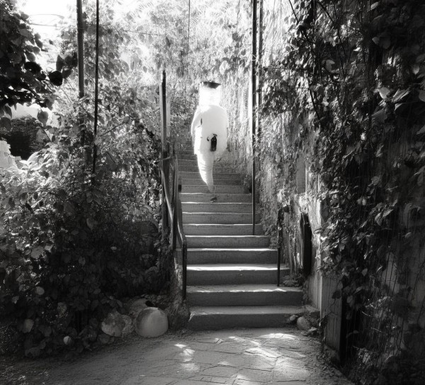 探索农业知识的无限可能,走进广州农业科普基地